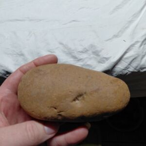 Natural Tan Reptile Habitat Stone